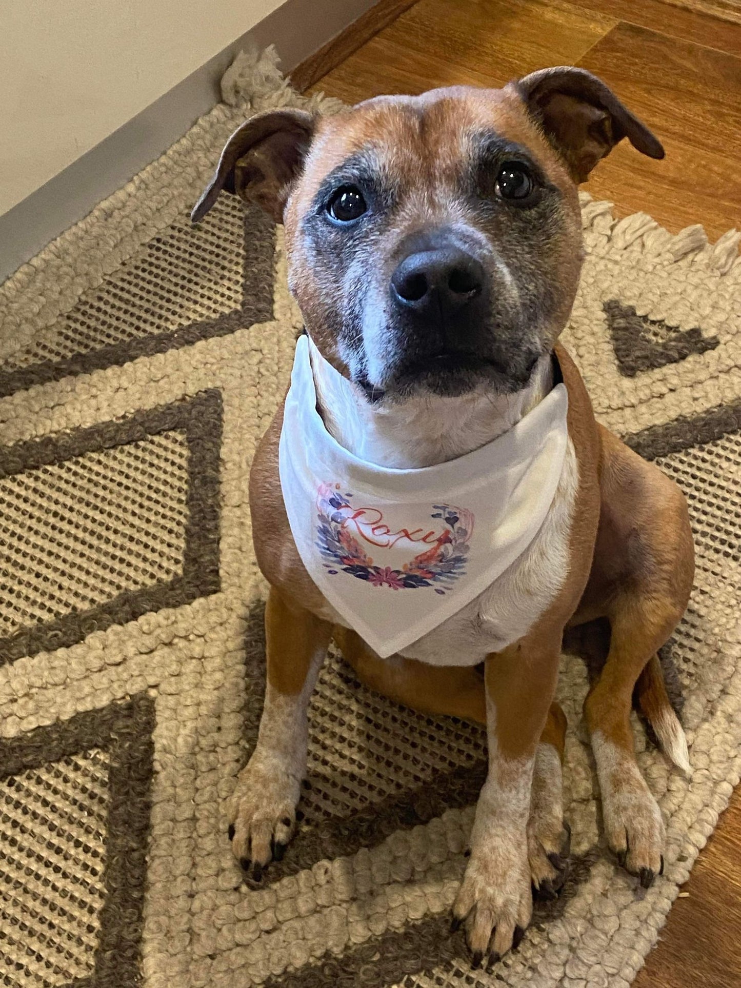 CUSTOM DOG BANDANA