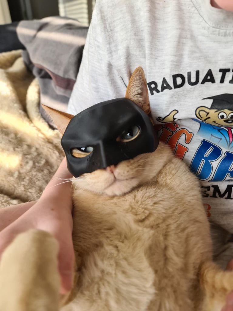 3D PRINTED CAT MASK